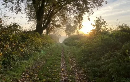 Walk and Talk Therapy