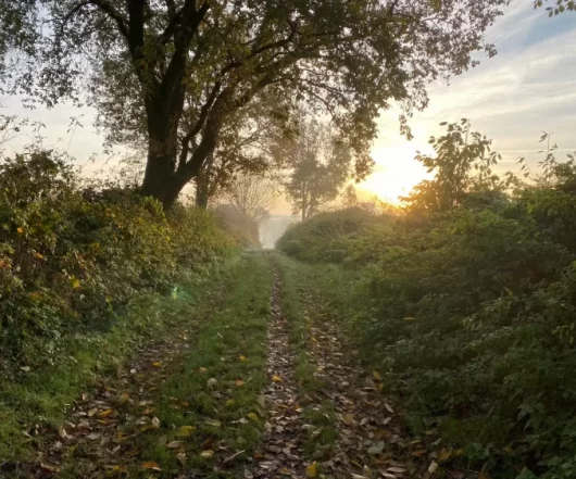 Walk and Talk Therapy